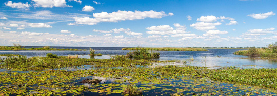 I Simposio Internacional de Humedales: Conservación y sociedad